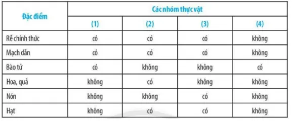 Bài 29: Thực vật Bai 29 Thuc Vat 59524