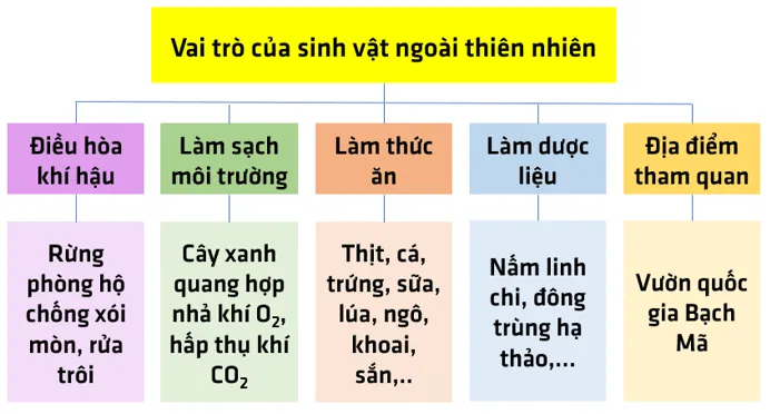 Bài 34: Tìm hiểu sinh vật ngoài thiên nhiên Bai 34 Tim Hieu Sinh Vat Ngoai Thien Nhien 59558