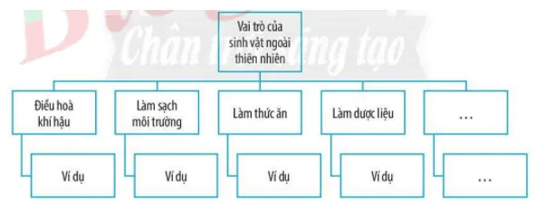 Bài 34: Tìm hiểu sinh vật ngoài thiên nhiên Bai 34 Tim Hieu Sinh Vat Ngoai Thien Nhien 59559