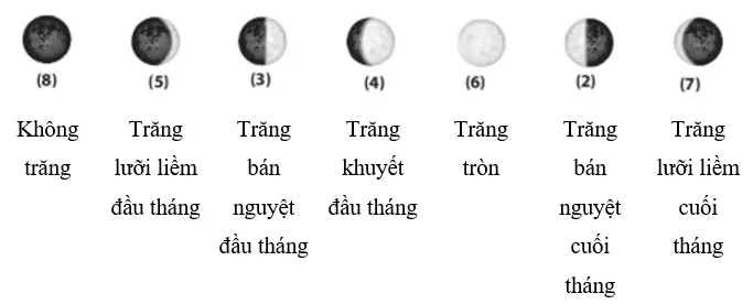 Bài 44: Chuyển động nhìn thấy của Mặt Trăng Bai 44 Chuyen Dong Nhin Thay Cua Mat Trang 59701
