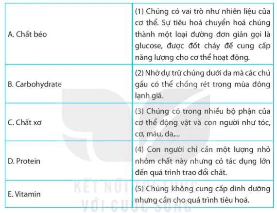 Bài 15. Một số lương thực, thực phẩm Bai 15 Mot So Luong Thuc Thuc Pham 56044