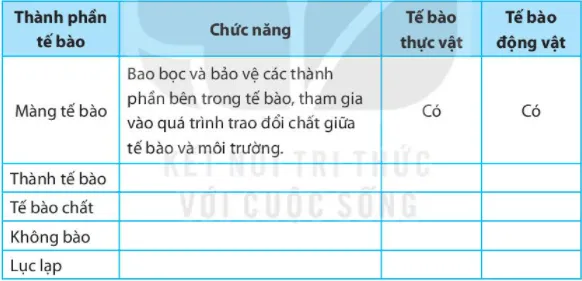 Bài 19. Cấu tạo và chức năng các thành phần của tế bào Bai 19 Cau Tao Va Chuc Nang Cac Thanh Phan Cua Te Bao 56068