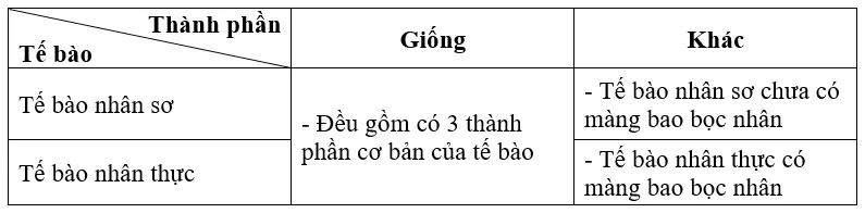 Bài 19. Cấu tạo và chức năng các thành phần của tế bào Bai 19 Cau Tao Va Chuc Nang Cac Thanh Phan Cua Te Bao