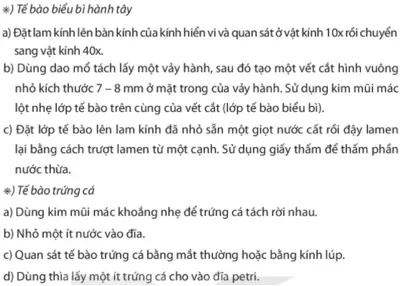 Bài 21. Thực hành: Quan sát và phân biệt một số loại tế bào Bai 21 Thuc Hanh Quan Sat Va Phan Biet Mot So Loai Te Bao 56077