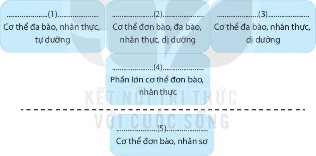 Bài 25. Hệ thống phân loại sinh vật Bai 25 He Thong Phan Loai Sinh Vat 56102