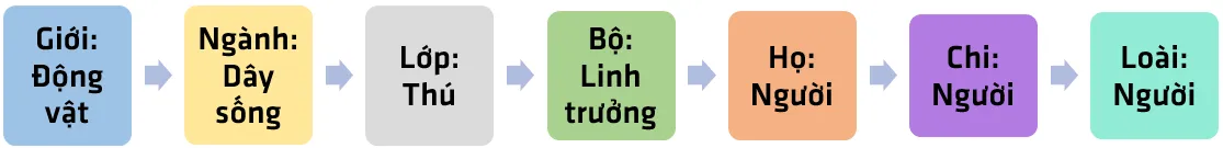 Bài 25. Hệ thống phân loại sinh vật Bai 25 He Thong Phan Loai Sinh Vat 56103