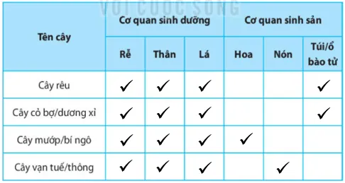Bài 35. Thực hành: Quan sát và phân biệt một số nhóm thực vật Bai 35 Thuc Hanh Quan Sat Va Phan Biet Mot So Nhom Thuc Vat 56137