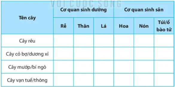 Bài 35. Thực hành: Quan sát và phân biệt một số nhóm thực vật Bai 35 Thuc Hanh Quan Sat Va Phan Biet Mot So Nhom Thuc Vat 56138