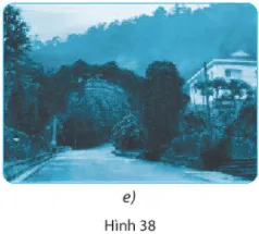 Bài 38: Đa dạng sinh học Bai 38 Da Dang Sinh Hoc 56149