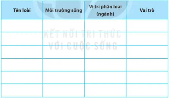 Bài 39: Tìm hiểu sinh vật ngoài thiên nhiên Bai 39 Tim Hieu Sinh Vat Ngoai Thien Nhien 56152