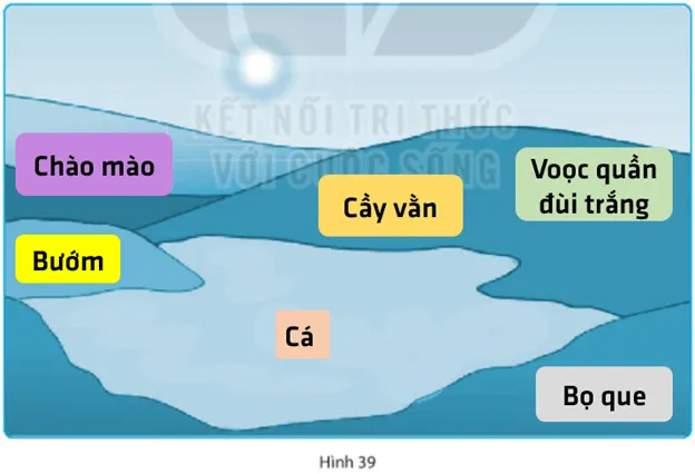 Bài 39: Tìm hiểu sinh vật ngoài thiên nhiên Bai 39 Tim Hieu Sinh Vat Ngoai Thien Nhien 56155