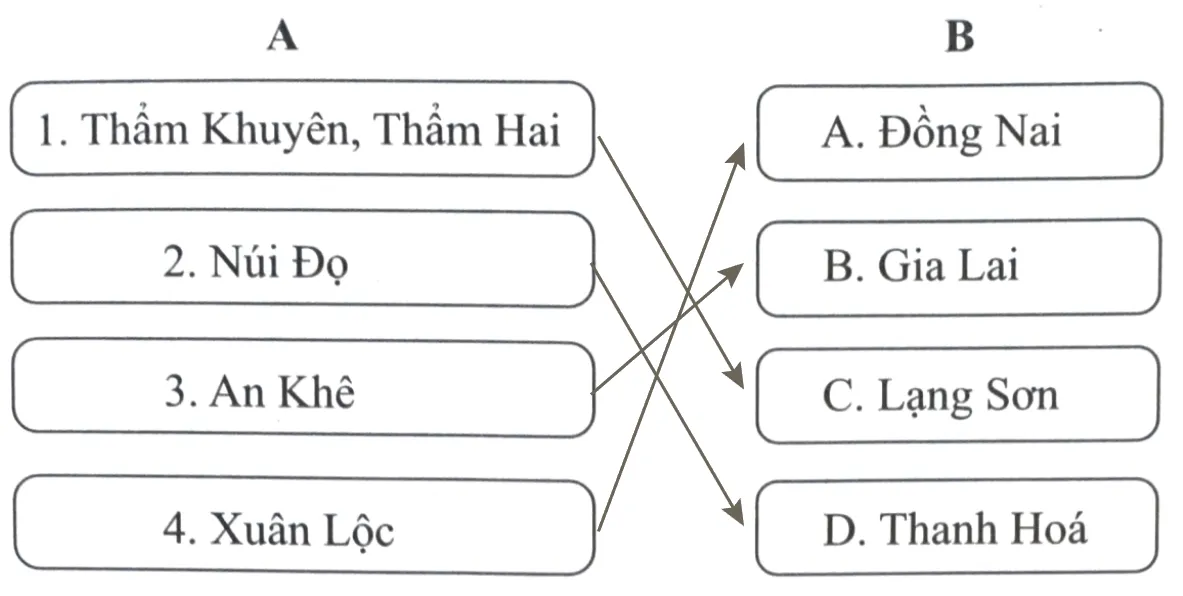 Bài 3: Nguồn gốc loài người Bai 3 Nguon Goc Loai Nguoi 6