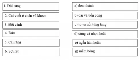 Bài tập đọc hiểu: Bài học đường đời đầu tiên Bai Tap Doc Hieu Bai Hoc Duong Doi Dau Tien 1