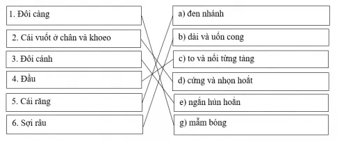 Bài tập đọc hiểu: Bài học đường đời đầu tiên Bai Tap Doc Hieu Bai Hoc Duong Doi Dau Tien 2