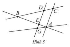 Quan sát Hình 5. Hãy nêu (ảnh 1) Bai 6 Trang 89 Sbt Toan Lop 6 Tap 2 Canh Dieu