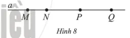 Quan sát Hình 8. Hãy nêu (ảnh 1) Bai 9 Trang 89 Sbt Toan Lop 6 Tap 2 Canh Dieu