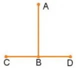 Hãy ước lượng để so sánh độ dài các đoạn thẳng AB và CD trong các hình Bai 2 Trang 93 Sbt Toan Lop 6 Tap 2 Chan Troi 68696