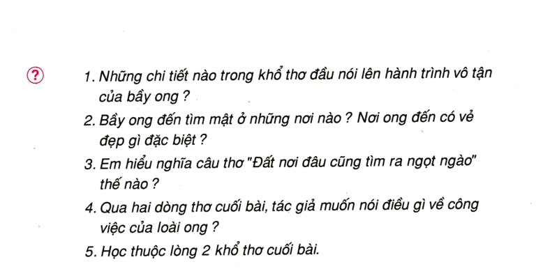 Tập đọc: Hành trình của bầy ong