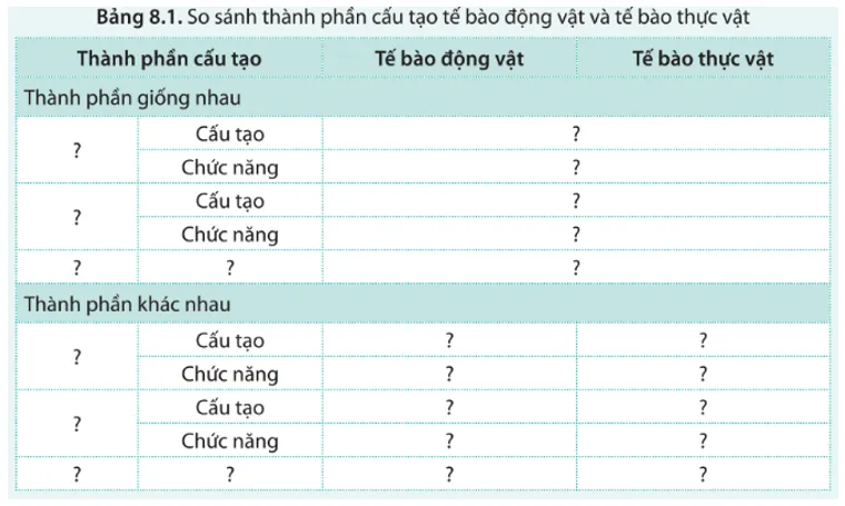 Nêu cấu trúc và chức năng của các thành phần cấu tạo tế bào động vật A Sua Luyen Tap 11 Trang 52 Sinh Hoc 10