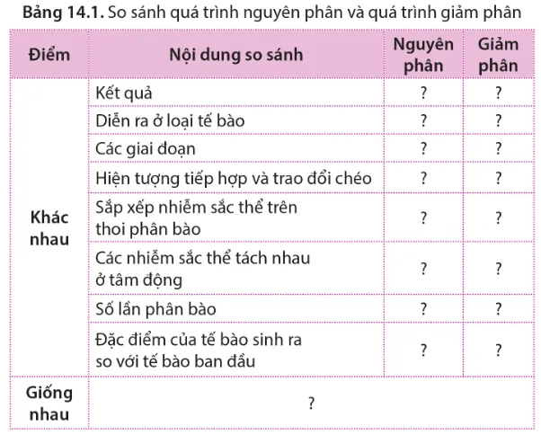Lập bảng so sánh quá trình nguyên phân và quá trình giảm phân theo gợi ý Cau Hoi 5 Trang 88 Sinh Hoc 10 145238