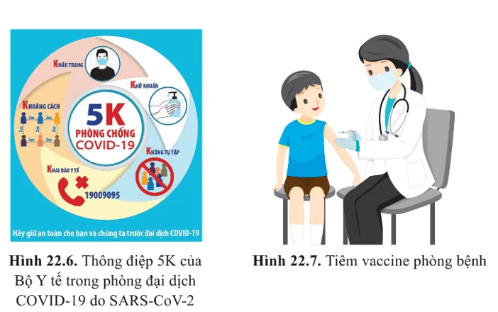 Các hình 22.6 và 22.7 là những thông điệp của Bộ Y tế  Cau Hoi 8 Trang 138 Sinh Hoc 10