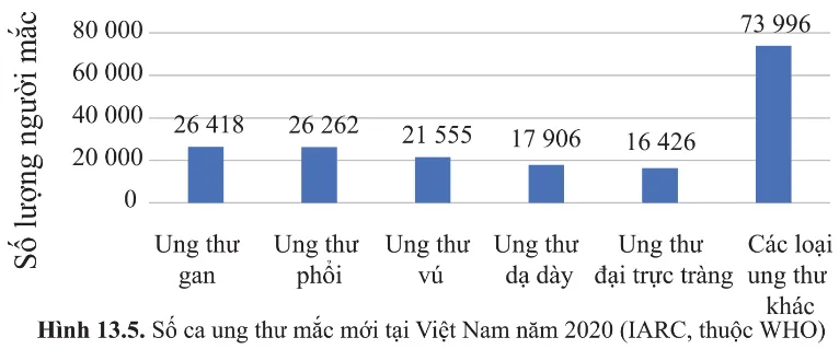 Quan sát hình 13.5, nêu khái quát tình hình ung thư tại Việt Nam năm 2020 và rút ra nhận xét Cau Hoi 9 Trang 84 Sinh Hoc 10 145227