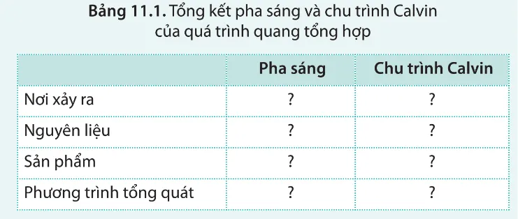 Hãy lựa chọn thông tin phù hợp để hoàn thành bảng 11.1 Luyen Tap 2 Trang 70 Sinh Hoc 10 145072