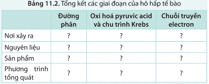 Hãy lựa chọn thông tin phù hợp để hoàn thành bảng 11.2 Luyen Tap 4 Trang 74 Sinh Hoc 10 145081