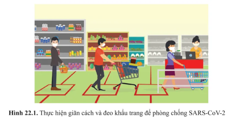 Vì sao giãn cách và đeo khẩu trang (hình 22.1) lại có vai trò quan trọng trong phòng chống dịch  Mo Dau 1 Trang 134 Sinh Hoc 10