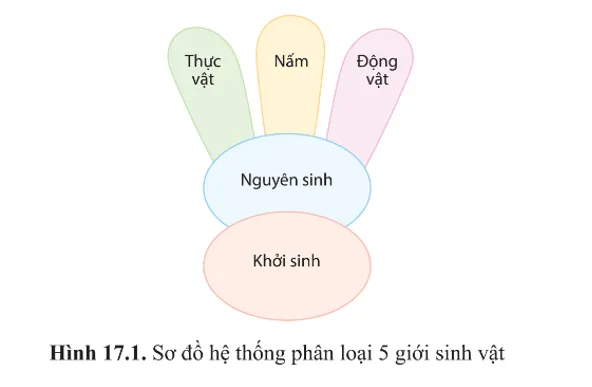 Vi sinh vật thuộc giới nào trong hệ thống phân loại 5 giới  Mo Dau Trang 102 Sinh Hoc 10