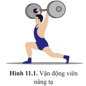 Vận động viên cử tạ (hình 11.1) tiêu tốn rất nhiều năng lượng cho mỗi lần nâng tạ Mo Dau Trang 67 Sinh Hoc 10 145073