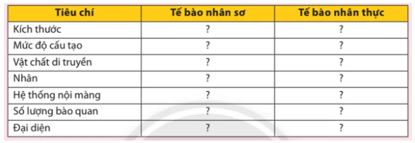 Phân biệt tế bào nhân sơ và tế bào nhân thực bằng cách hoàn thành bảng sau Bai 1 Trang 51 Sinh Hoc 10