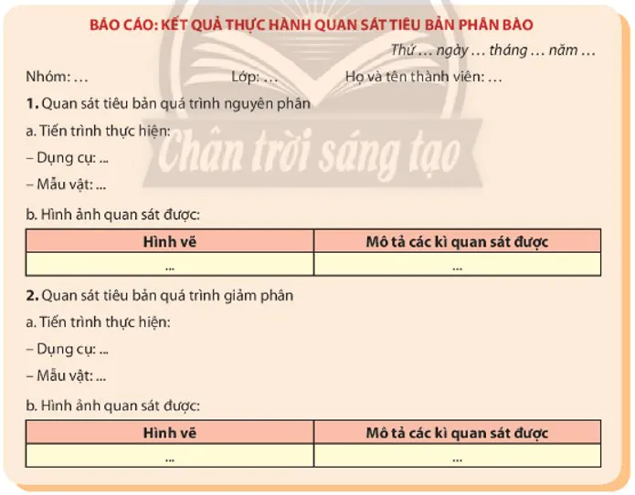 Sinh 10 Chân trời sáng tạo Bài 20: Thực hành: quan sát tiêu bản các kì phân bào nguyên phân và giảm phân | Giải Sinh học 10 Bai 20 Thuc Hanh Quan Sat Tieu Ban Cac Ki Phan Bao Nguyen Phan Va Giam Phan