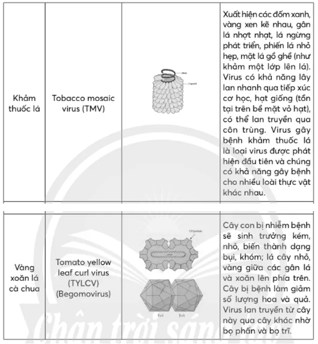 Hãy liệt kê một số bệnh do virus gây ra ở thực vật, động vật và người Bai Tap 1 Trang 154 Sinh Hoc 10 5