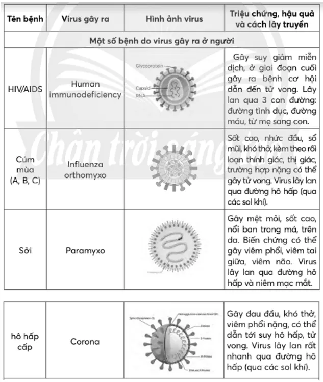 Hãy liệt kê một số bệnh do virus gây ra ở thực vật, động vật và người Bai Tap 1 Trang 154 Sinh Hoc 10