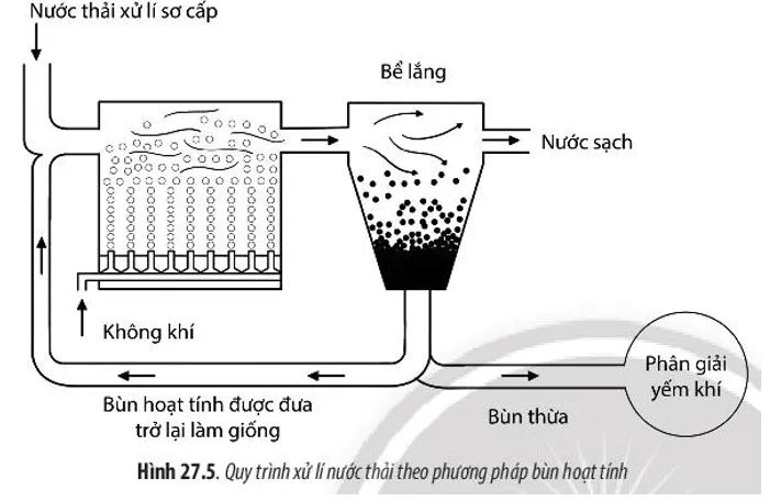 Quan sát Hình 27.5 và 27.6, hãy mô tả quá trình xử lí nước thải bằng phương pháp Cau Hoi 6 Trang 134 Sinh Hoc 10