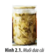 Có nhiều nguyên nhân làm cho muối dưa cải bị hư hỏng, trong đó có hai nguyên nhân Mo Dau Trang 12 Sinh Hoc 10