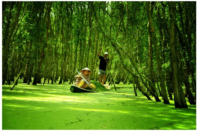 Soạn bài Đi trong hương tràm | Ngắn nhất Soạn văn 10 Cánh diều Di Trong Huong Tram