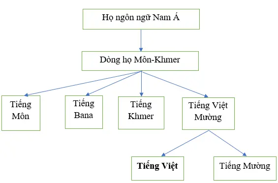Soạn văn lớp 10 | Soạn bài lớp 10 On Tap Phan Tieng Viet 1