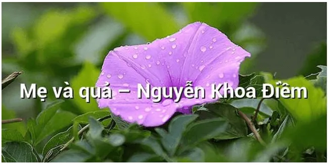 Soạn bài Mẹ và quả | Ngắn nhất Soạn văn 7 Cánh diều Thuc Hanh Doc Hieu Me Va Qua