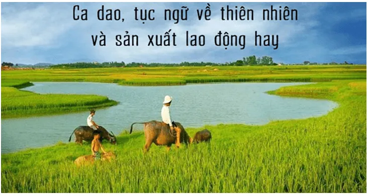 Soạn bài Tục ngữ về thiên nhiên, lao động và con người, xã hội | Ngắn nhất Soạn văn 7 Cánh diều Tuc Ngu Ve Thien Nhien Lao Dong Va Con Nguoi Xa Hoi