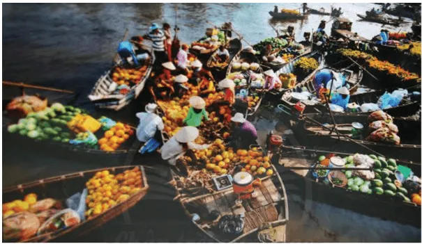 Soạn bài Chợ nổi – Nét văn hóa sông nước miền Tây | Hay nhất Soạn văn 10 Chân trời sáng tạo Cho Noi Net Van Hoa Song Nuoc Mien Tay 134423
