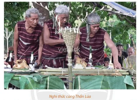 Lễ cúng thần lúa của người Chơ-ro Le Cung Than Lua Cua Nguoi Cho Ro 1