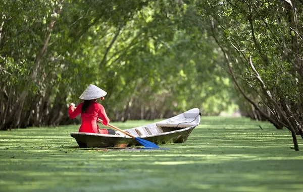 Soạn bài Ghe xuồng Nam Bộ | Hay nhất Soạn văn 7 Cánh diều Ghe Xuong Nam Bo