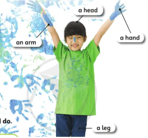 tiếng anh lớp 3 unit 7 lesson 1 toys