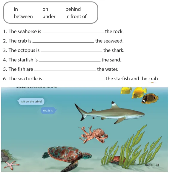 Unit 3: Where's the shark? A Sua Unit 3 Wheres The Shark 55