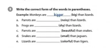 Unit 2: Monkeys are amazing! Unit 2 Monkeys Are Amazing 55263