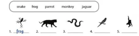 Unit 2: Monkeys are amazing! Unit 2 Monkeys Are Amazing 55276