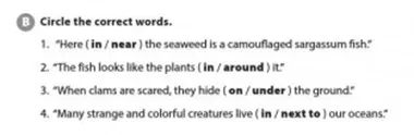 Unit 3: Where's the shark? Unit 3 Wheres The Shark 55311