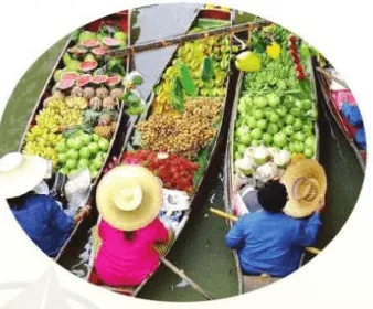 Chợ nổi Cà Mau lớp 3 | Tiếng Việt lớp 3 Cánh diều Cho Noi Ca Mau Trang 10 11 130173